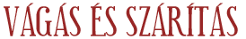 Hajvgs s szrts